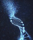 Пошкоджена молекула ДНК, концептуальна ілюстрація генетичного розладу . — стокове фото