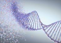 Руйнування молекули ДНК, концептуальна ілюстрація генетичного розладу . — стокове фото