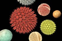 Abstract pollen grains from various plants differ in size and shape, computer illustration. — Stock Photo