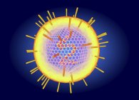 Вирусная структура Эпштейна Барра, цифровая иллюстрация . — стоковое фото