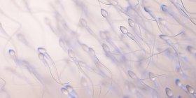 Людські сперматозоїди, абстрактний комп 