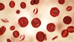 Plasmodium vivax Protozoen und rote Blutkörperchen, digitale Illustration. — Stockfoto
