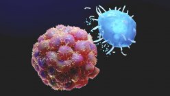 Компьютерная иллюстрация тучных клеток, выделяющих биологически активные соединения вблизи опухоли рака . — стоковое фото