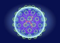 Estructura del virus de la hepatitis C, ilustración digital . - foto de stock