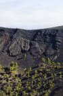 Pinete canarie che crescono nel cratere del vulcano nelle montagne rocciose di La Palma, Isole Canarie. — Foto stock