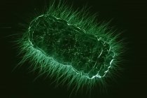 Cierre de Microbios, ilustración conceptual - foto de stock