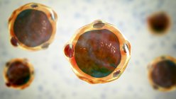 3d ilustración por computadora de parásitos hominíes de blastocystis, agentes causantes de la infección diarreica.. - foto de stock