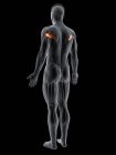 Abstract male figure with detailed Teres major muscle, computer illustration. — Stock Photo