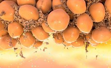 Ilustración por computadora de células adiposas blancas (grasas), que yacen en una matriz de colágeno. El tejido adiposo almacena energía y ayuda a aislar nuestros cuerpos, así como amortiguar los órganos. - foto de stock