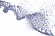 Damaged DNA strand, genetic disorder conceptual illustration. — Stock Photo
