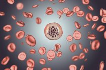 Protozoo Plasmodium falciparum, agente causal de la malaria tropical en los glóbulos rojos, ilustración digital
. - foto de stock
