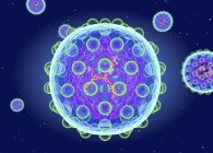 Struttura del virus dell'epatite C, illustrazione digitale . — Foto stock