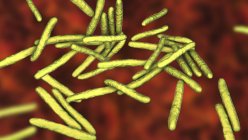 Illustrazione digitale di Mycobacterium leprae batteri gram-positivi a forma di asta, agente causale della lebbra malattia . — Foto stock