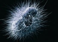 Микроб, концептуальная иллюстрация — стоковое фото