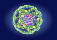 Вирусная структура энтеровируса РНК, цифровая иллюстрация . — стоковое фото