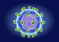 Ilustración digital del retrovirus del VIH de tipo lentivirus, que causa el colapso del sistema inmunitario y el SIDA . - foto de stock