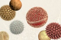 Grãos de pólen abstratos de várias plantas diferem em tamanho e forma, ilustração do computador. — Fotografia de Stock