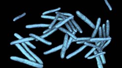 Illustration numérique de la bactérie Mycobacterium leprae gram-positive en forme de tige, agent causal de la lèpre . — Photo de stock