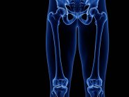 Oberschenkelknochen in Röntgencomputerdarstellung des menschlichen Körpers. — Stockfoto
