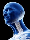 Digitale Illustration der Halswirbelsäule im Körper eines älteren Mannes. — Stockfoto
