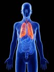 Ilustración digital de la anatomía del hombre mayor que muestra pulmones . - foto de stock