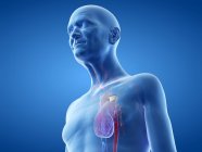 Медицинская цифровая иллюстрация пожилого человека с кардиостимулятором в сердце . — стоковое фото