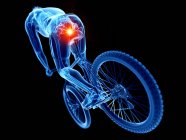 Squelette cycliste avec douleur dans le coccyx, illustration informatique — Photo de stock