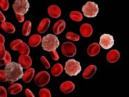 Червоні та білі клітини крові, комп'ютерна ілюстрація.. — стокове фото