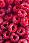 Close-up de framboesas frescas maduras vermelhas em quadro completo . — Fotografia de Stock
