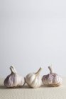 Ampoules d'ail Allium Sativum sur fond blanc . — Photo de stock