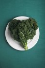Листя капусти у формі серця, Brassica oleracea, у формі серця . — стокове фото