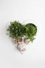 Rosemary, thyme and garlic on heart-shaped plate.. — Stock Photo
