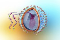 Abstrakte menschliche Immunschwäche-Virusstruktur, wissenschaftliche digitale Illustration. — Stockfoto