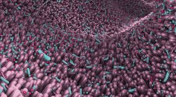 Microbiote de l'intestin humain, illustration 3D numérique abstraite . — Photo de stock