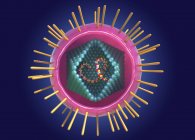 Particule humaine de virus lymphotrope à lymphocytes T, illustration conceptuelle numérique . — Photo de stock