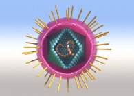 Лінтотропна частинка вірусу Т-клітини людини, цифрова концептуальна ілюстрація . — стокове фото