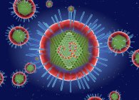 Particelle umane del virus linfotropico delle cellule T, illustrazione concettuale digitale . — Foto stock