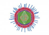 Partícula del virus linfotrópico de células T humanas, ilustración conceptual digital . - foto de stock