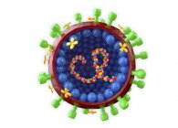 Модель грипу Вірусна частинка на білому тлі, цифрова ілюстрація. — стокове фото