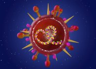 Modelo abstracto del virus de la gripe B estacional, ilustración digital conceptual . - foto de stock