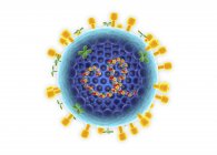 Модель грипу Вірусна частинка на білому тлі, цифрова ілюстрація. — стокове фото