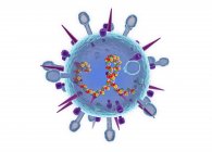 Modèle abstrait du virus grippal B saisonnier sur fond blanc, illustration numérique découpée . — Photo de stock