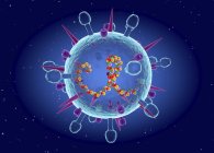 Modello astratto del virus dell'influenza B stagionale, illustrazione digitale concettuale . — Foto stock
