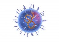 Abstraktes Lassa-Viruspartikel auf weißem Hintergrund, konzeptionelle digitale Illustration. — Stockfoto