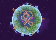 Абстрактные частицы вируса кори, цифровая иллюстрация . — стоковое фото