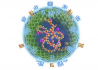 Абстрактна частинка вірусу кору на білому тлі, ілюстрація цифрового вирізу . — стокове фото