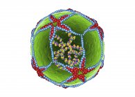 Частинка вірусу енцефалокардиту Менго ізольована на білому тлі, цифрова ілюстрація . — стокове фото