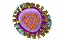 3D-ілюстрація структури вірусу грипу — стокове фото