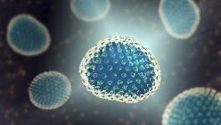 Віруси грипу, комп'ютерна ілюстрація — стокове фото