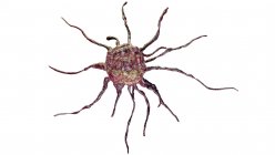 Cellule cancéreuse, illustration informatique — Photo de stock